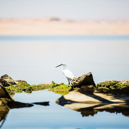 Byoum Lakeside Hotel Qaryat at Ta'mir as Siyahiyah Buitenkant foto