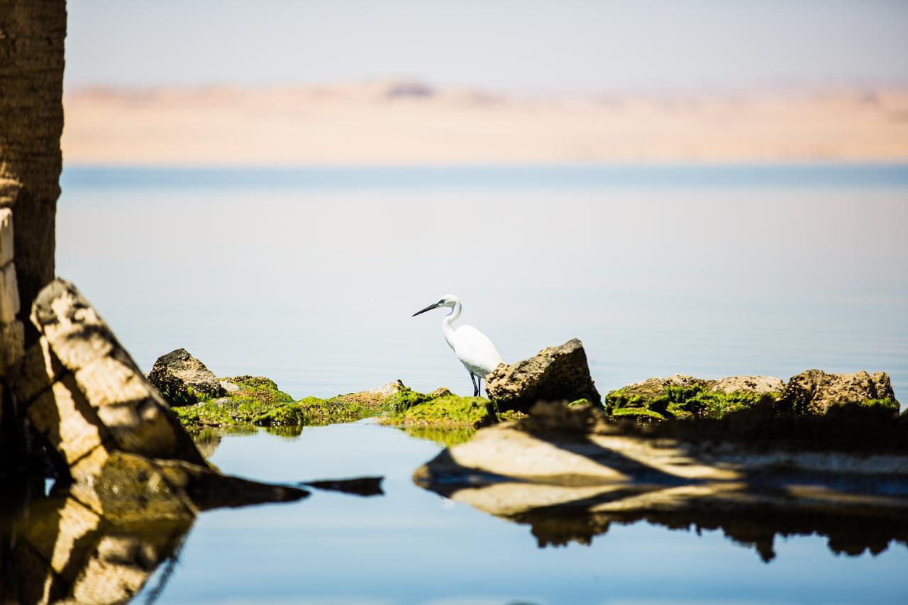 Byoum Lakeside Hotel Qaryat at Ta'mir as Siyahiyah Buitenkant foto